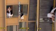 驚險一幕！廣東半裸男助短裙女攀窗逃生，網民熱議：大婆殺到？