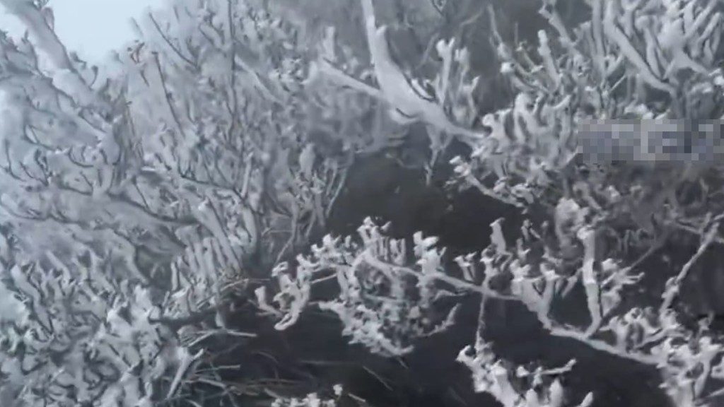 廣東急凍！廣州低見5度 清遠金子山現冰掛奇景