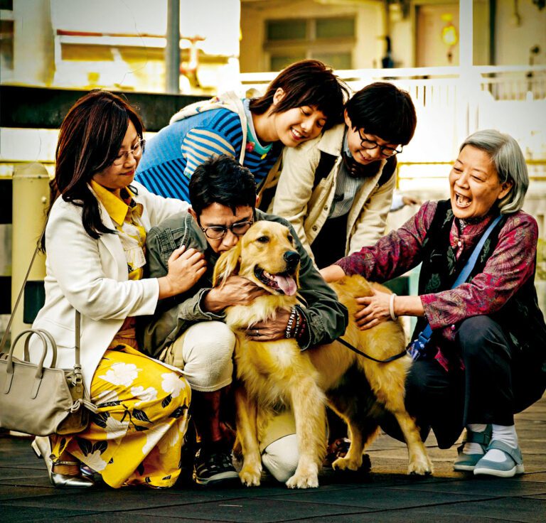 一家人為了嫲嫲的發達夢，出盡法寶搏命圓謊。