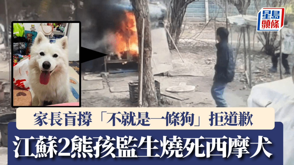 江蘇兩童殘忍燒死鄰居愛犬 家長一句「不就是一條狗」引爆全網怒火