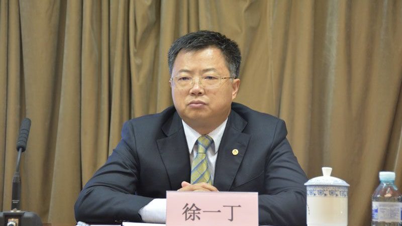 周末再打虎！農發行副行長徐一丁任上突遭調查，今年已有13名高官落馬