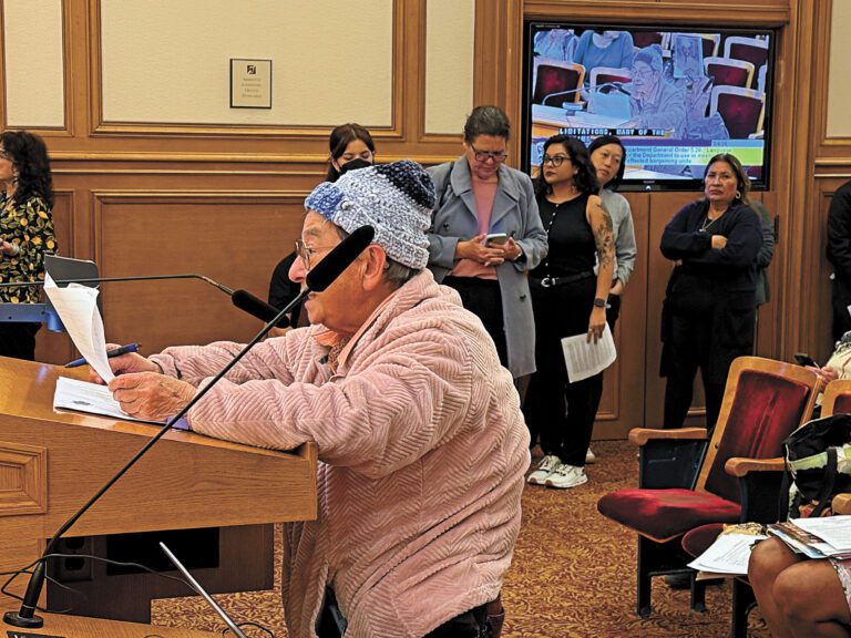 陳美玲發言表示語言服務的重要性，眾多社區人士排隊等待發言。記者陳程威攝